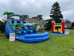 15ft Oasis Dual Lane Water slide W/Pool