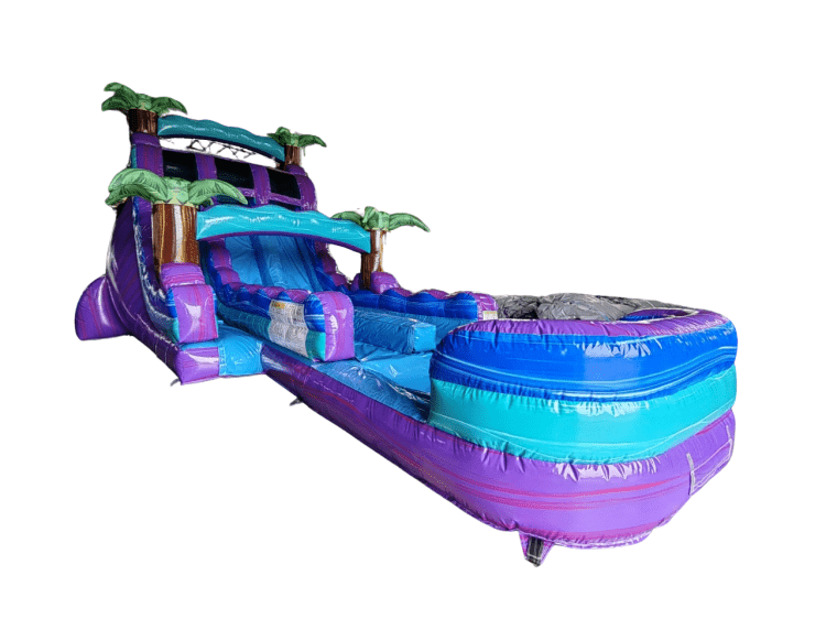 18Ft Purple Plunge Dual Lane Water slide W/Pool